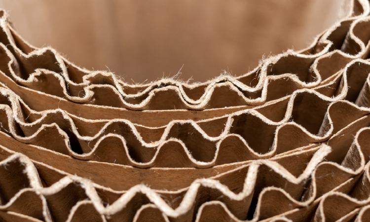 The Future Of Cardboard Manufacturing In Dubai: Trends And Innovations