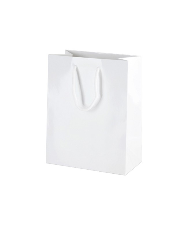 WHITE PAPER BAGS - MEDIUM (TWISTED HANDLE)