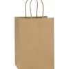 Brown Paper Bags Small ( Twisted Handle)