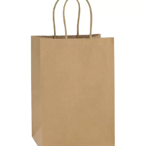 Brown Paper Bags Small ( Twisted Handle)