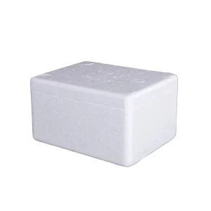 Thermocol Boxes-Round/Recangle-White